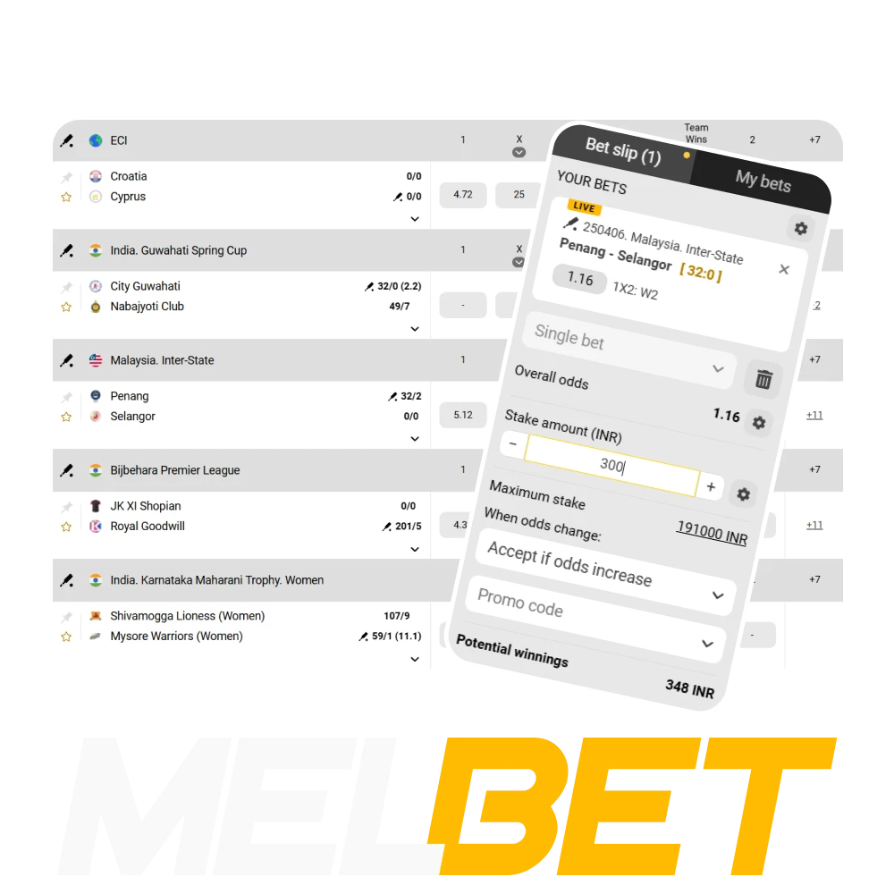 For cricket betting, choose the Melbet website.