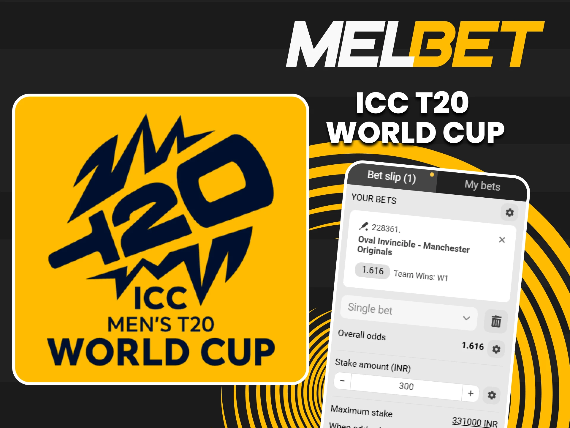 We will tell you about the T20 cricket tournament on Melbet.